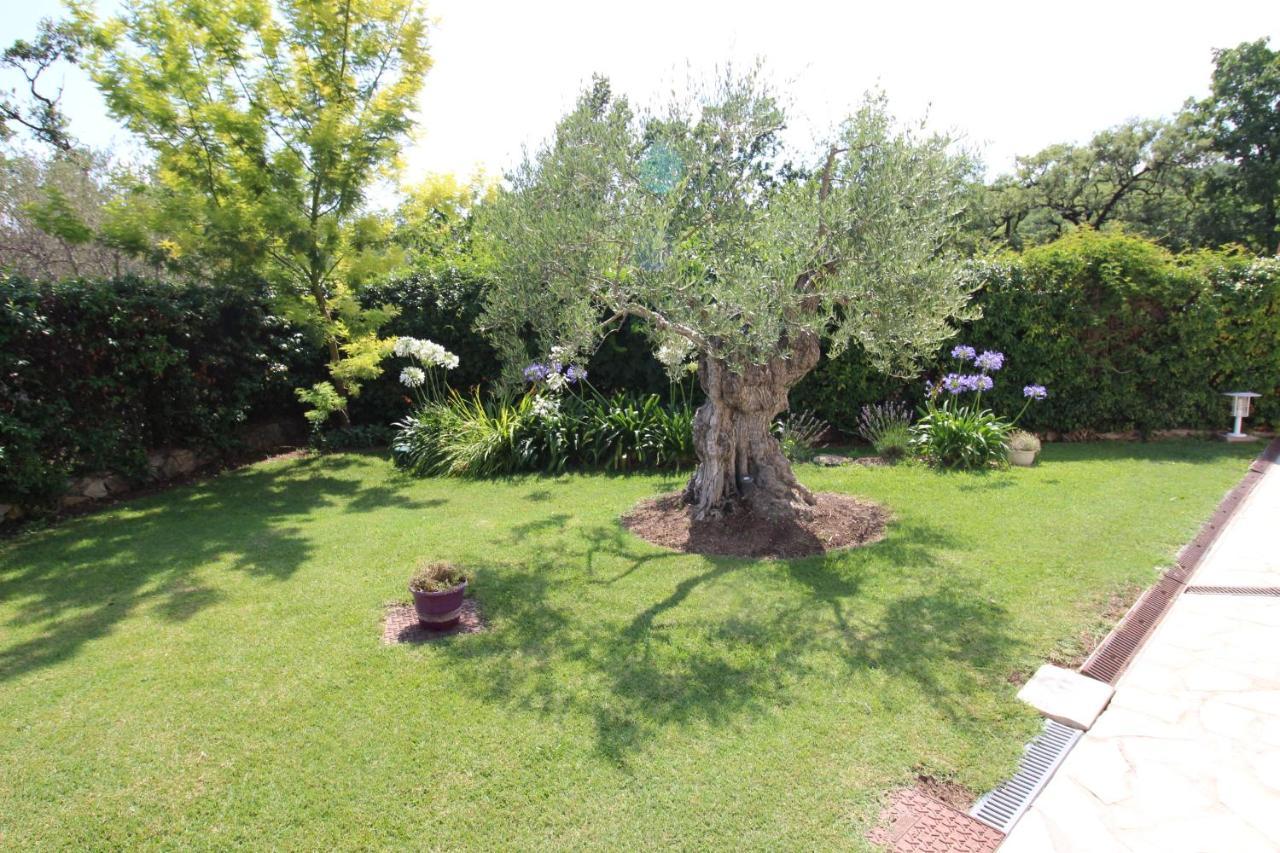 רוקפור-לה-פה Villa Jalna Chambre, Suites Et Appartement מראה חיצוני תמונה